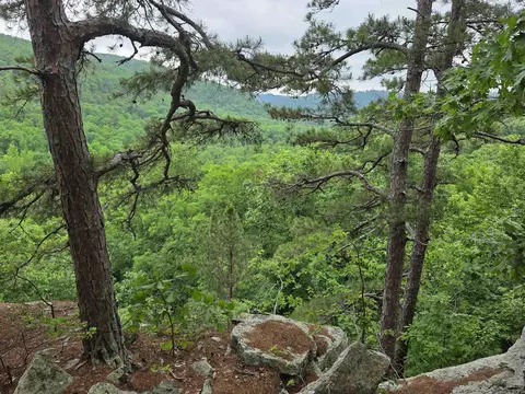 0 Angora Mountain Rd, Leslie, AR 72645 photo 4