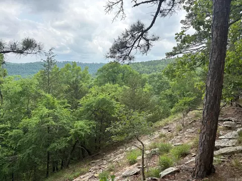 0 Angora Mountain Rd, Leslie, AR 72645