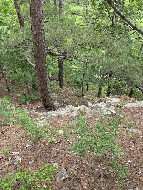 0 Angora Mountain Rd, Leslie, AR 72645 photo 29