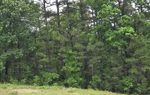 0 Angora Mountain Rd, Leslie, AR 72645 photo 8