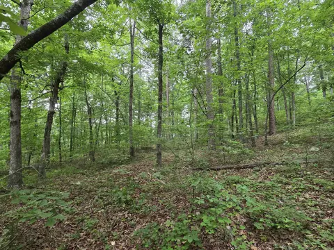 0 Angora Mountain Rd, Leslie, AR 72645 photo 22
