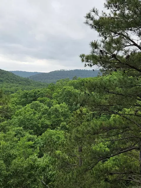 0 Angora Mountain Rd, Leslie, AR 72645 photo 14