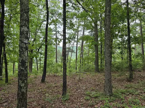 0 Angora Mountain Rd, Leslie, AR 72645 photo 17