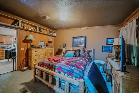 12415 Dodder Dr, Alexander, AR 72002 photo 45