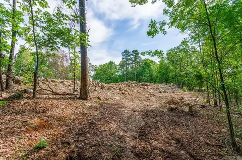 1500 Sawyer Ln, Conway, AR 72034