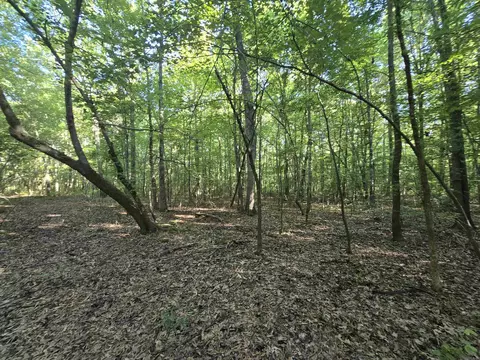 000 Cypress Lake Rd, Beebe, AR 72012 photo 3