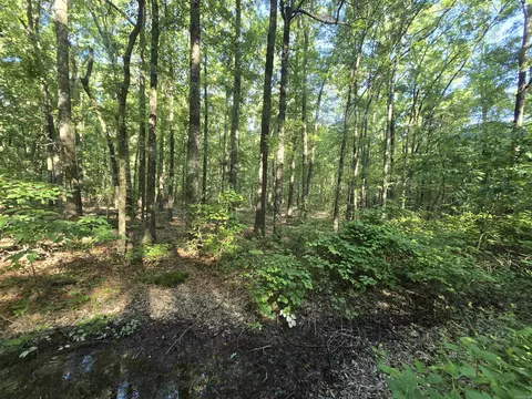 000 Cypress Lake Rd, Beebe, AR 72012 photo 7