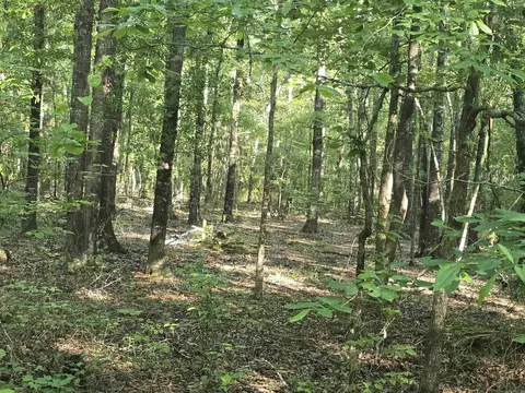 000 Cypress Lake Rd, Beebe, AR 72012 photo 6