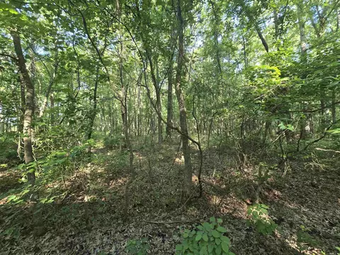000 Cypress Lake Rd, Beebe, AR 72012 photo 9