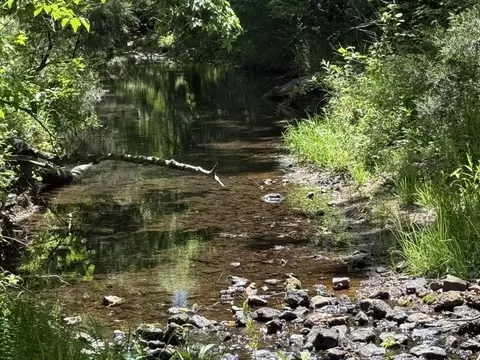 00 Old Union Rd, Imboden, AR 72434
