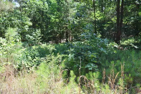 tbd Heather Rdg, Texarkana, AR 71854 photo 4
