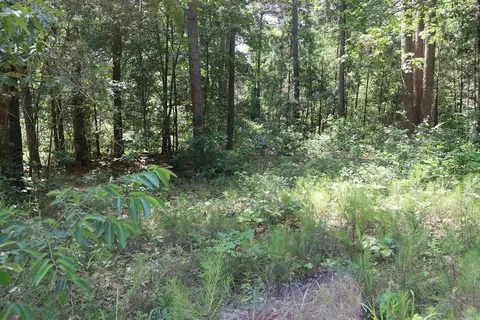 tbd Heather Rdg, Texarkana, AR 71854 photo 6
