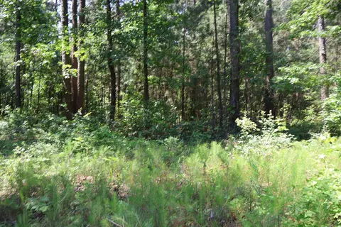 tbd Heather Rdg, Texarkana, AR 71854 photo 5
