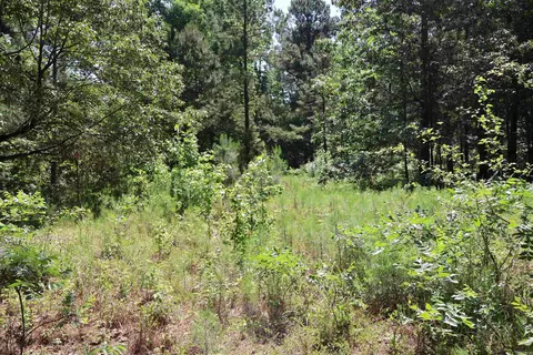 tbd Heather Rdg, Texarkana, AR 71854 photo 7
