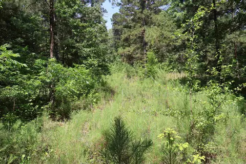 tbd Heather Rdg, Texarkana, AR 71854 photo 3