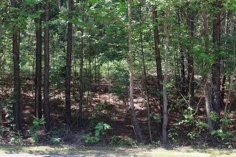 tbd Heather Rdg, Texarkana, AR 71854