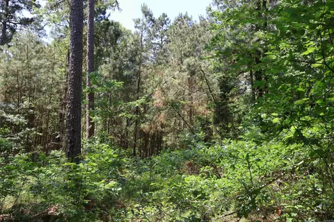 tbd Heather Rdg, Texarkana, AR 71854 photo 8