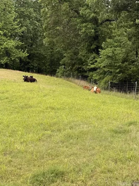 2647 Greene Road 609, Beech Grove, AR 72412 photo 7
