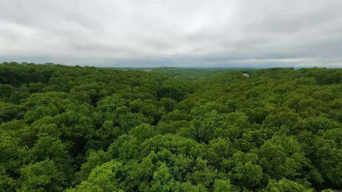 tbd Devils Pool Rd, Ridgedale, MO 65739 photo 2