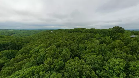 tbd Devils Pool Rd, Ridgedale, MO 65739 photo 4