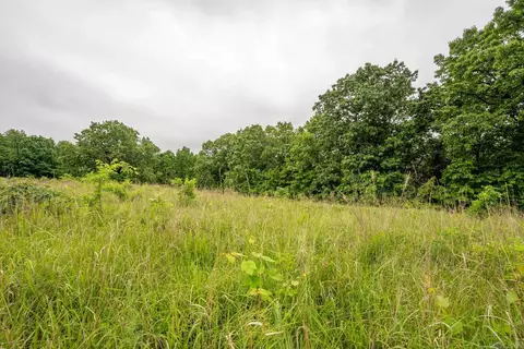 tbd Devils Pool Rd, Ridgedale, MO 65739 photo 15