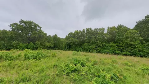 tbd Devils Pool Rd, Ridgedale, MO 65739 photo 9