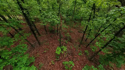 tbd Devils Pool Rd, Ridgedale, MO 65739 photo 12