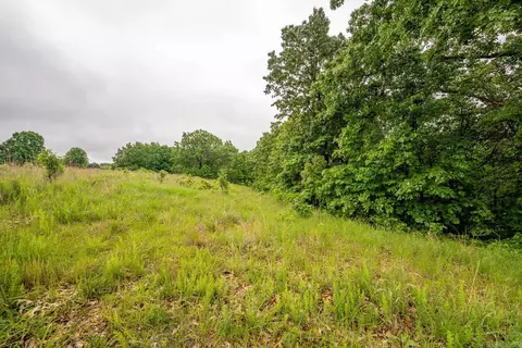 tbd Devils Pool Rd, Ridgedale, MO 65739 photo 18