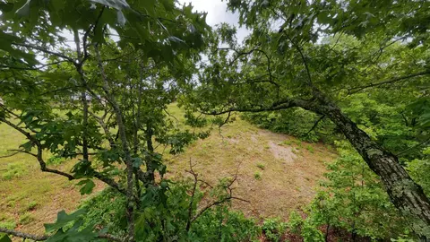 tbd Devils Pool Rd, Ridgedale, MO 65739 photo 11