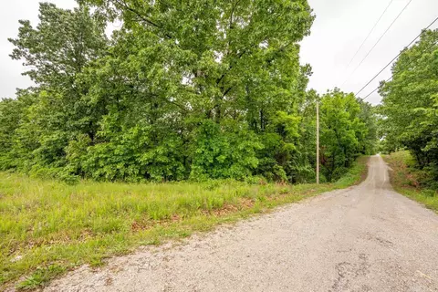 tbd Devils Pool Rd, Ridgedale, MO 65739 photo 17
