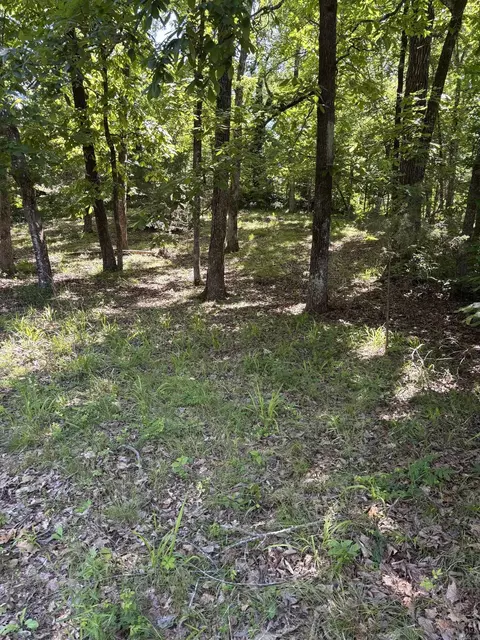 tbd N Crystal Springs Rd, Royal, AR 71968