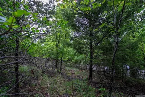 tbd Mcmeen Dr, Hollister, MO 65739 photo 18