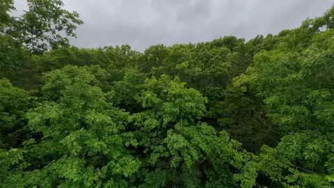 tbd Mcmeen Dr, Hollister, MO 65739 photo 7