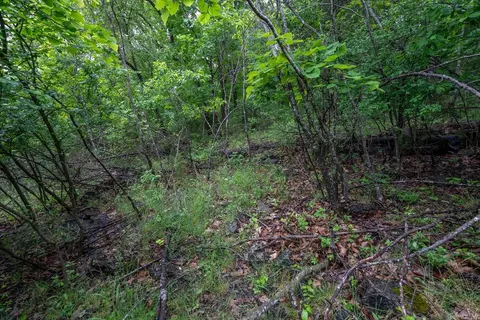 tbd Mcmeen Dr, Hollister, MO 65739 photo 17