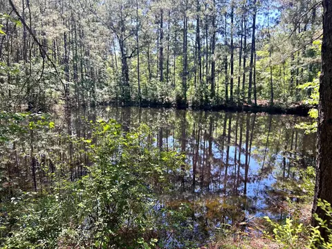 View/Area - 292 E Main St, Sparkman, AR 71763 photo 3 of 3