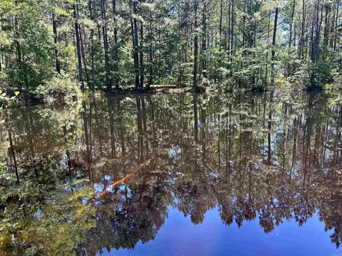 View/Area - 292 E Main St, Sparkman, AR 71763 photo 1 of 3