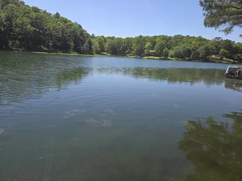 42 Enid Dr, Cherokee Village, AR 72529