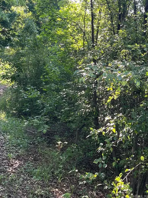 00 Markham St, Ward, AR 72176