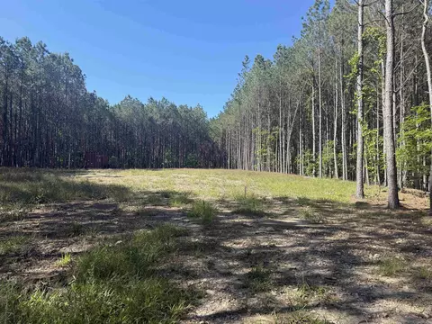 571 Stihl, Hot Springs, AR 71901