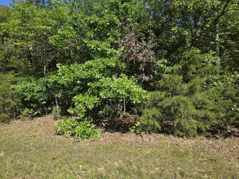 52 Barnes Road # l, Evening Shade, AR 72532