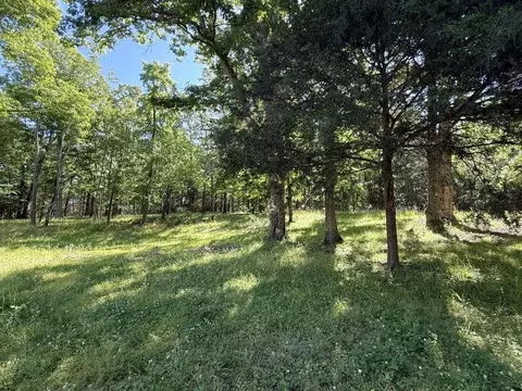 Exterior - 298 Hwy 63, Ravenden, AR 72459 photo 3 of 8