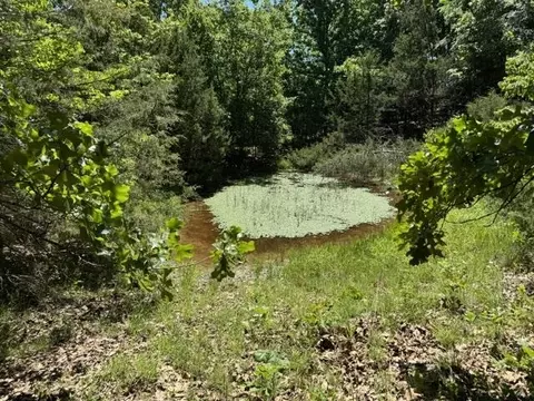 View/Area - 3863 Browns Chapel Rd, Viola, AR 72583 photo 1 of 2