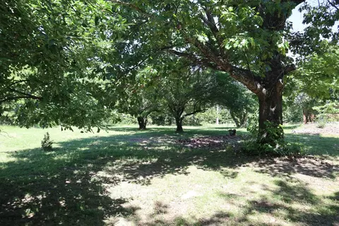 Exterior - 3863 Browns Chapel Rd, Viola, AR 72583 photo 10 of 12