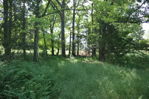 Other - 3863 Browns Chapel Rd, Viola, AR 72583 photo 15 of 21