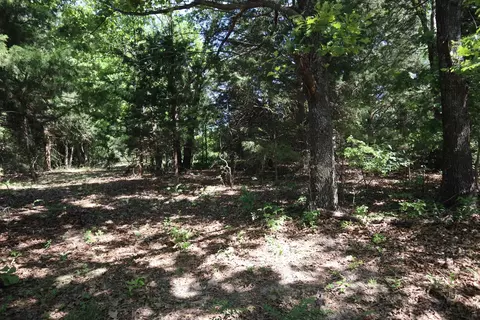 Exterior - 3863 Browns Chapel Rd, Viola, AR 72583 photo 11 of 12