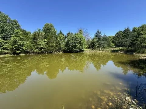 View/Area - 3863 Browns Chapel Rd, Viola, AR 72583 photo 2 of 2