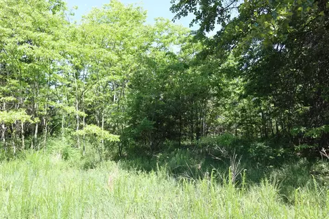 Other - 3863 Browns Chapel Rd, Viola, AR 72583 photo 9 of 21