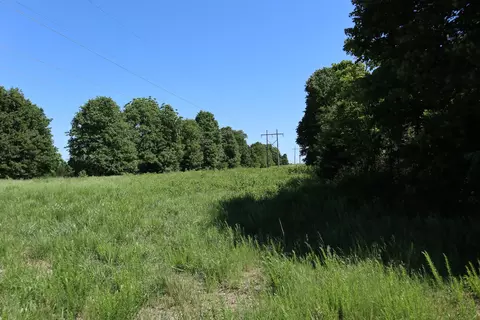 Other - 3863 Browns Chapel Rd, Viola, AR 72583 photo 10 of 21