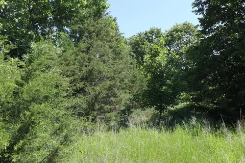 Other - 3863 Browns Chapel Rd, Viola, AR 72583 photo 13 of 21