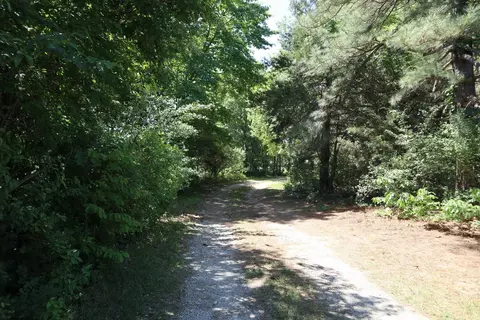 Exterior - 3863 Browns Chapel Rd, Viola, AR 72583 photo 9 of 12
